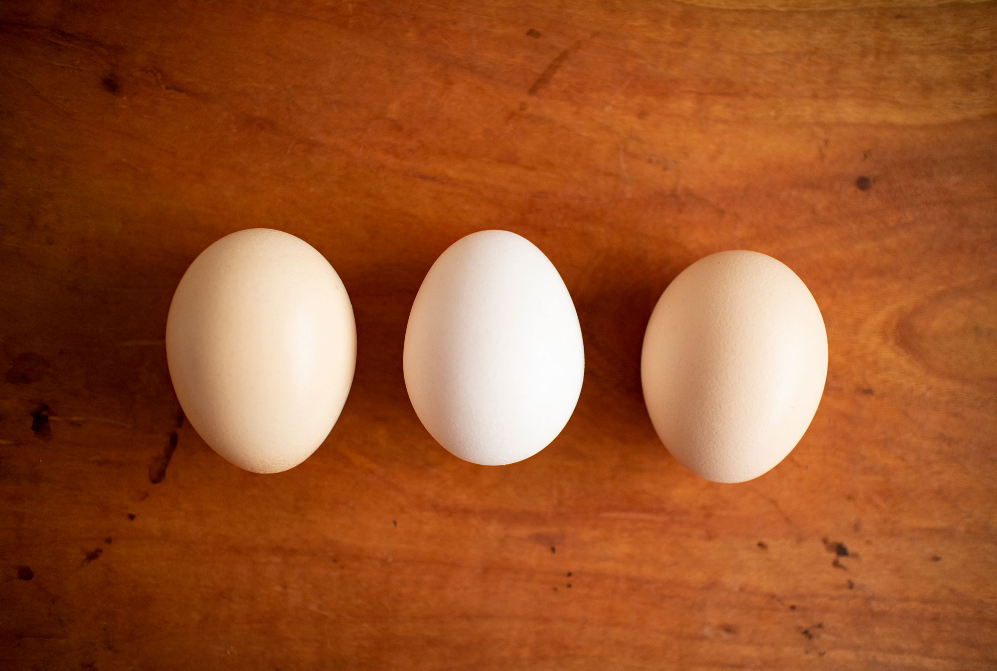 The Confusion Over Egg Claims